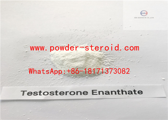 O esteróide cru do enanthate da testosterona pulveriza suplementos ao halterofilismo de Androtardyl